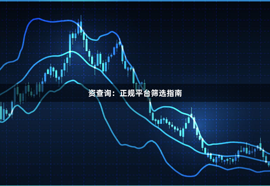 资查询：正规平台筛选指南
