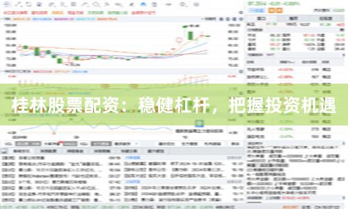 桂林股票配资：稳健杠杆，把握投资机遇
